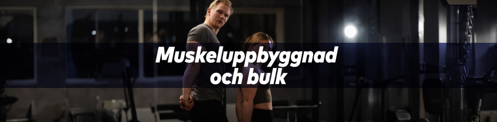 Muskeluppbyggnad och bulk